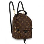 Louis Vuitton Mini Palm Springs Backpack LB1538 (1)