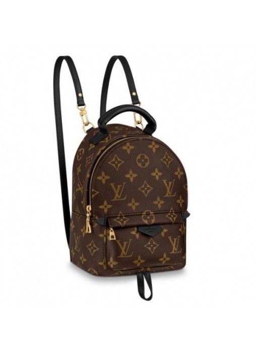 Louis Vuitton Mini Palm Springs Backpack LB1538 (1)