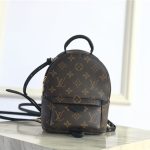 Louis Vuitton Mini Palm Springs Backpack LB1538 (2)