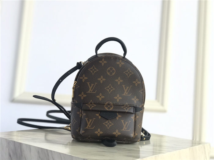 Louis Vuitton Mini Palm Springs Backpack LB1538 (2)
