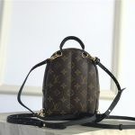Louis Vuitton Mini Palm Springs Backpack LB1538 (3)