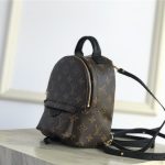 Louis Vuitton Mini Palm Springs Backpack LB1538 (4)