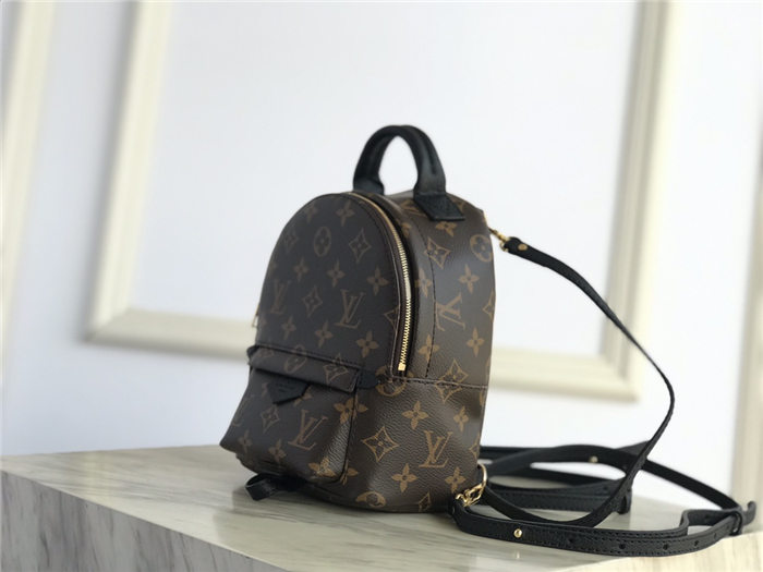 Louis Vuitton Mini Palm Springs Backpack LB1538 (4)