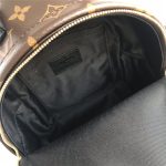 Louis Vuitton Mini Palm Springs Backpack LB1538 (6)