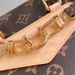 Louis Vuitton Montsouris PM Monogram LB5216 (6)