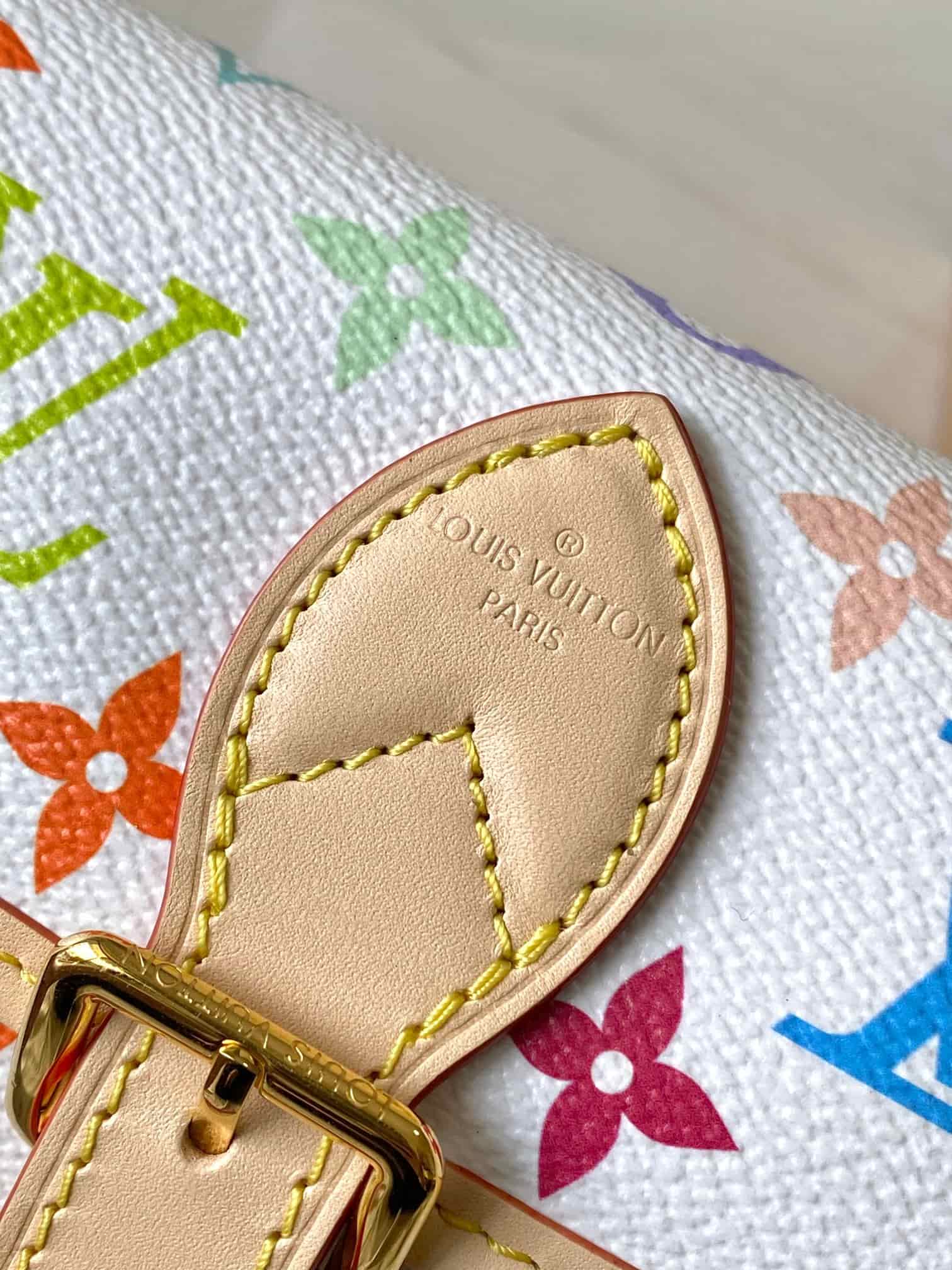 Louis Vuitton Murakami Bolsa Diane Nano Canvas Monogram LB1191 (4)