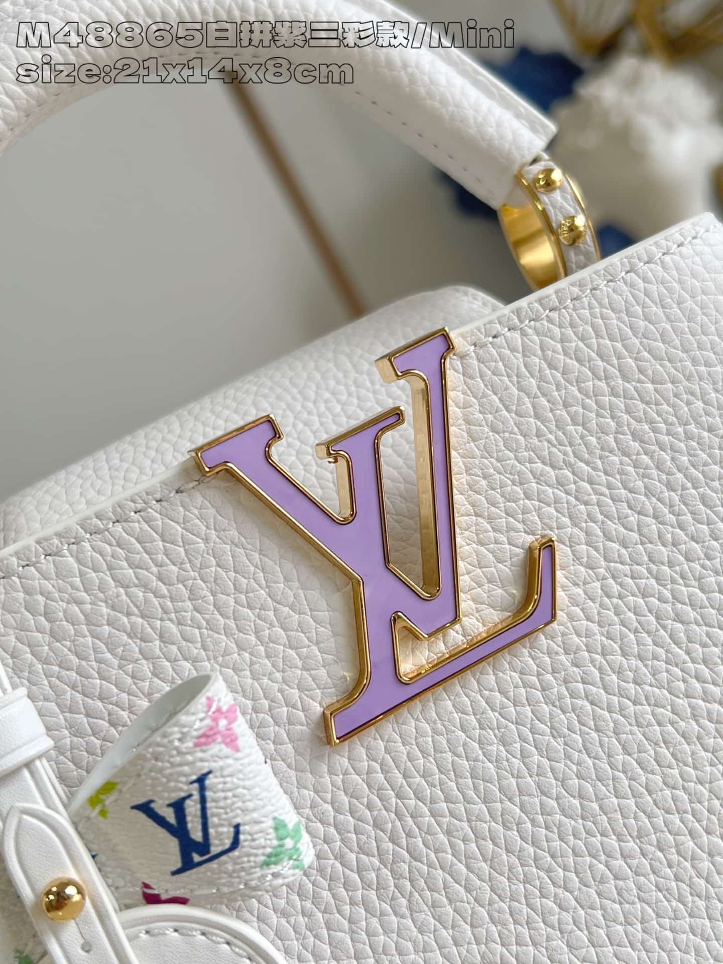 Louis Vuitton Murakami Capucines Mini Taurillon leather LB16566 (2)