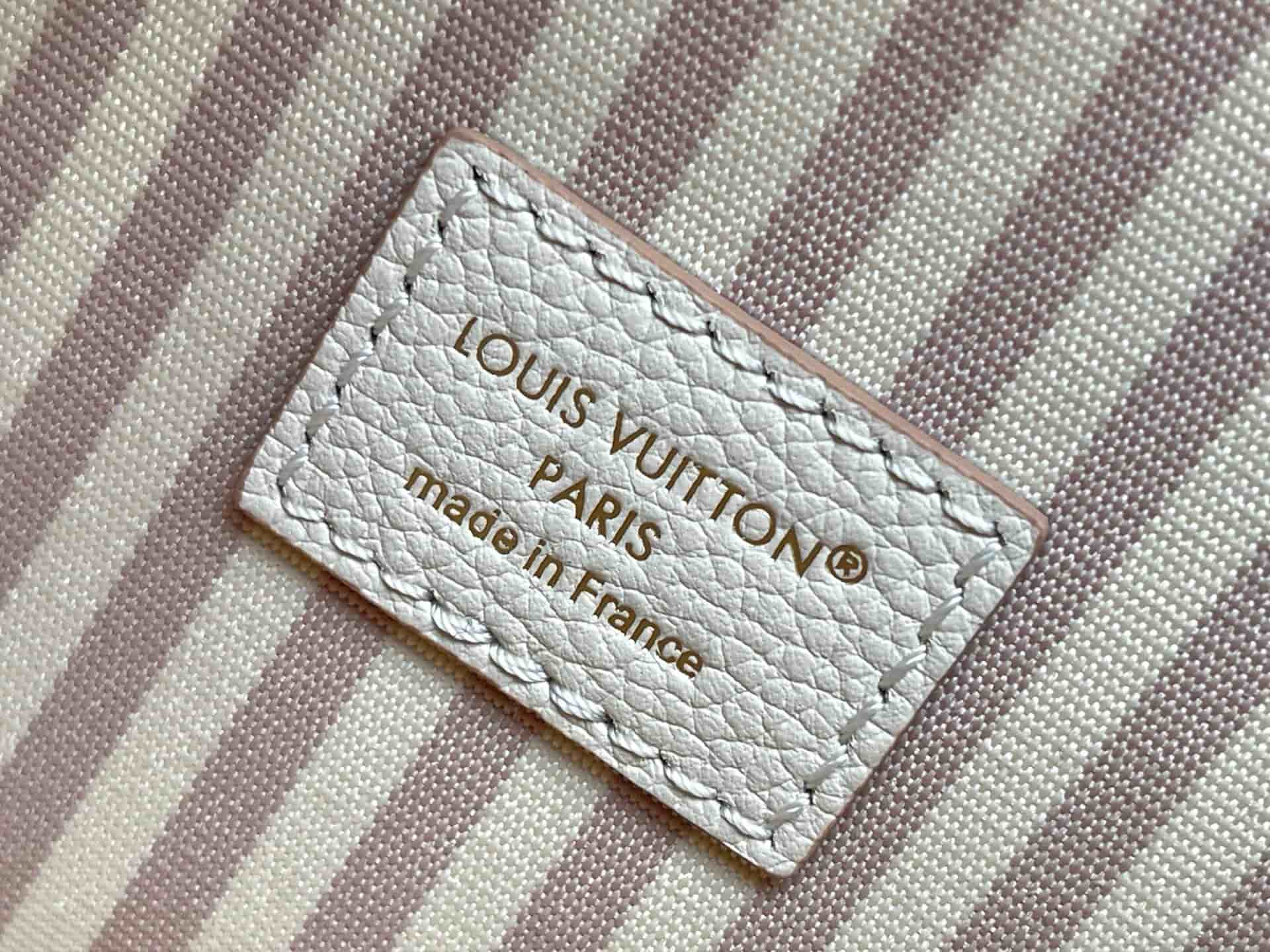 Louis Vuitton Nano Diane Embossed grained cowhide leather LB22406 (6)