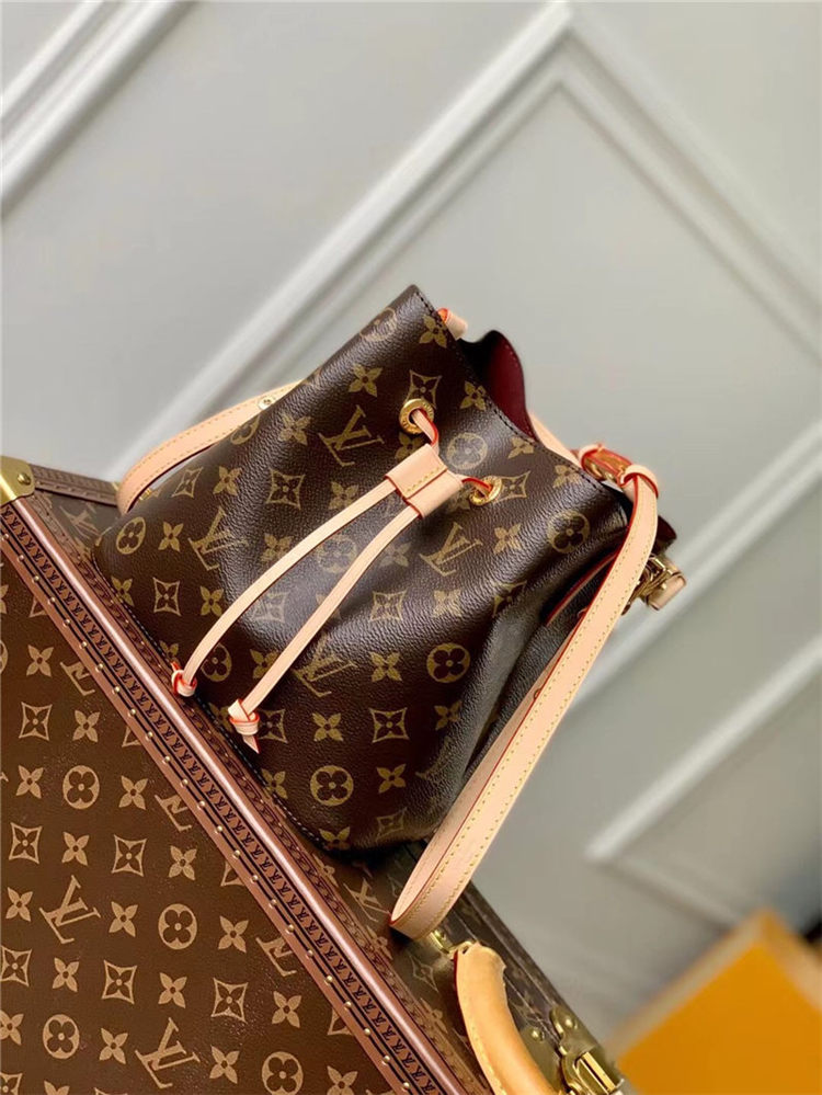 Louis Vuitton Néonoé BB Monogram canvas LB13156 (1)