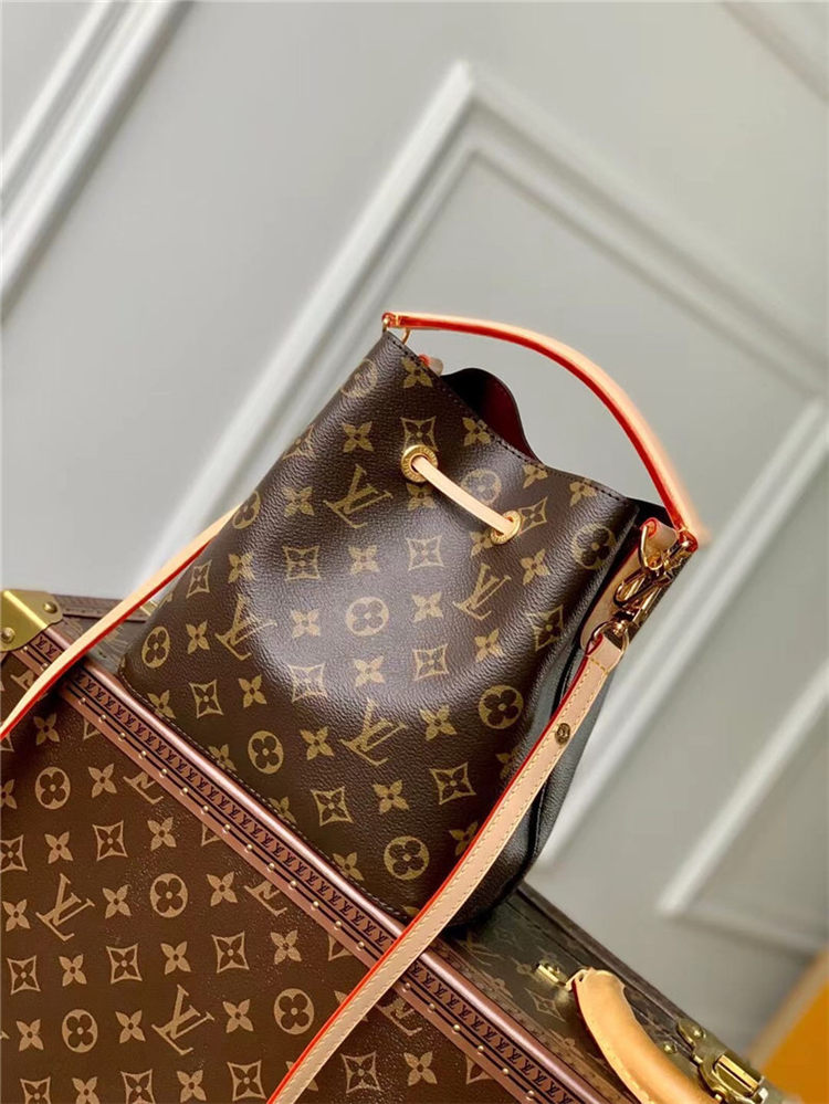 Louis Vuitton Néonoé BB Monogram canvas LB13156 (2)