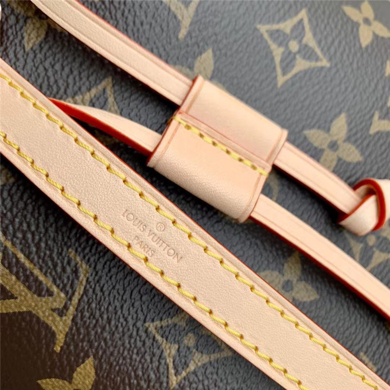 Louis Vuitton Néonoé BB Monogram canvas LB13156 (6)