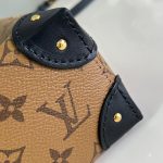 Louis Vuitton Noé Trunk PM Monogram Reverse Canvas LB15938 (5)