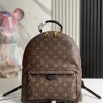 Louis Vuitton Palm Springs MM Backpack LB1526 (2)