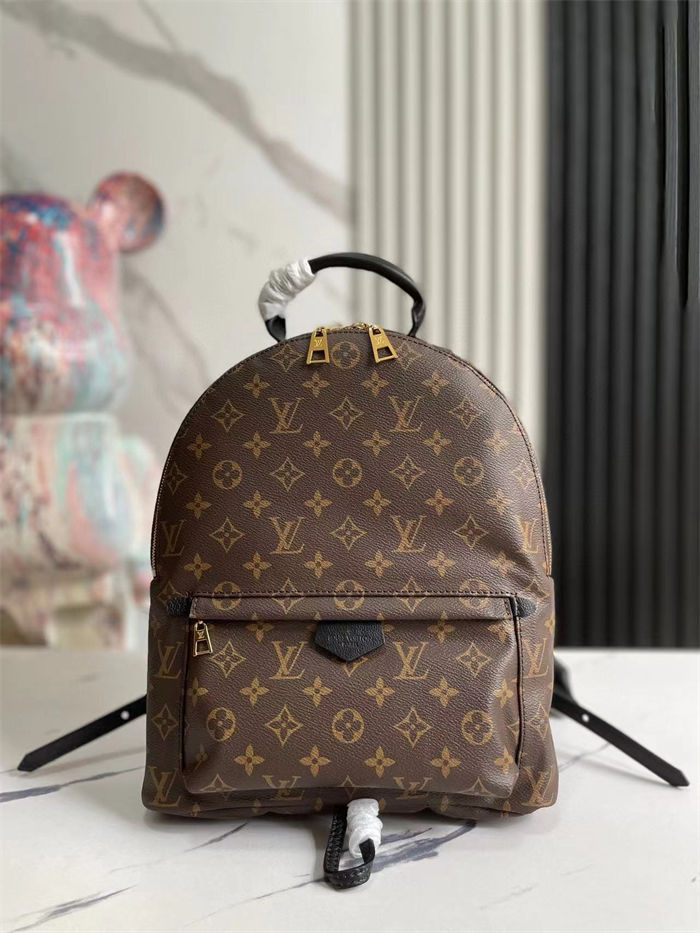 Louis Vuitton Palm Springs MM Backpack LB1526 (2)
