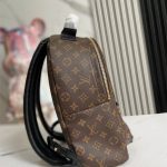 Louis Vuitton Palm Springs MM Backpack LB1526 (3)