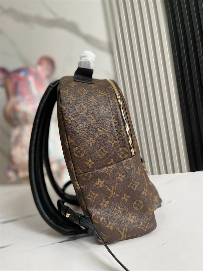 Louis Vuitton Palm Springs MM Backpack LB1526 (3)