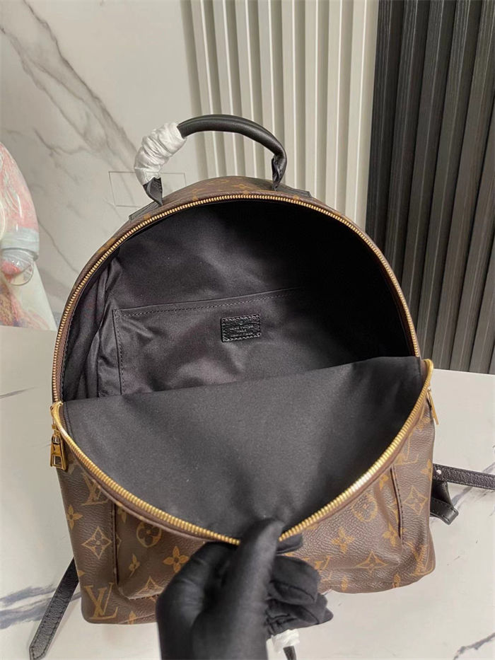 Louis Vuitton Palm Springs MM Backpack LB1526 (5)