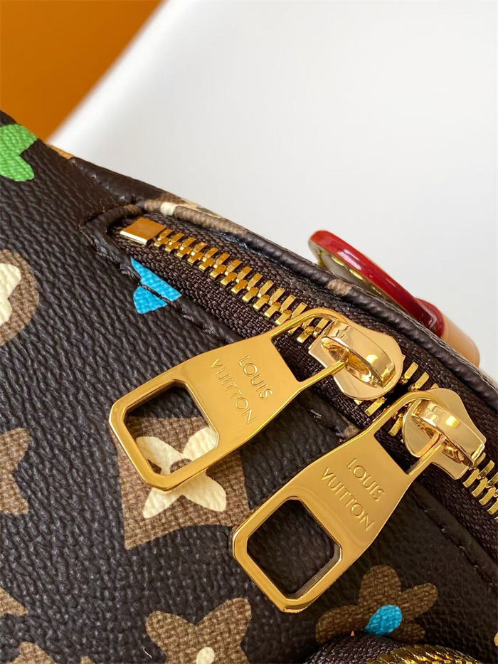 Louis Vuitton RUSH Bumbag Monogram Craggy LB15354 (4)