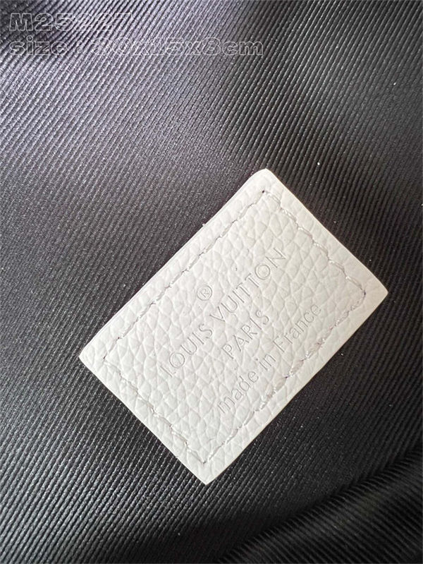 Louis Vuitton RUSH Bumbag Monogram Shadow LB15358 (3)