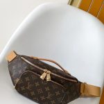 Louis Vuitton Rush Bumbag MONOGRAM ARCHIVE LB21670 (1)