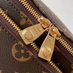 Louis Vuitton Rush Bumbag MONOGRAM ARCHIVE LB21670 (4)