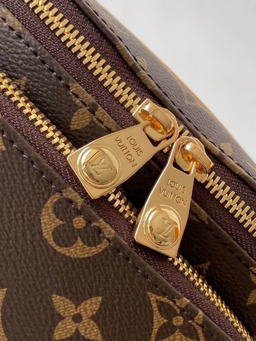 Louis Vuitton Rush Bumbag MONOGRAM ARCHIVE LB21670 (4)