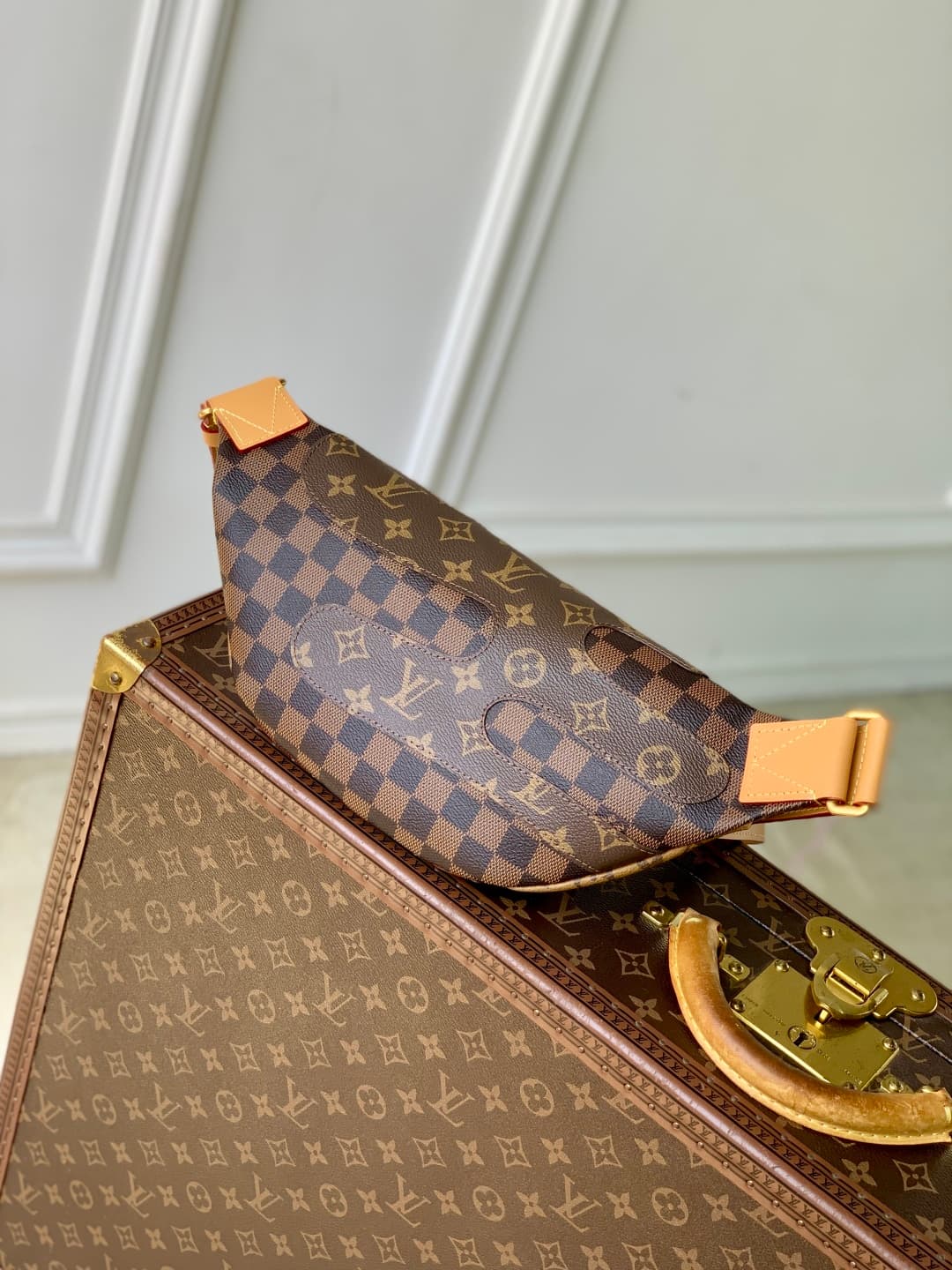 Louis Vuitton Rush Bumbag Monogram Landscape canvas LB22537 (2)