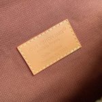 Louis Vuitton Rush Bumbag Monogram Landscape canvas LB22537 (5)