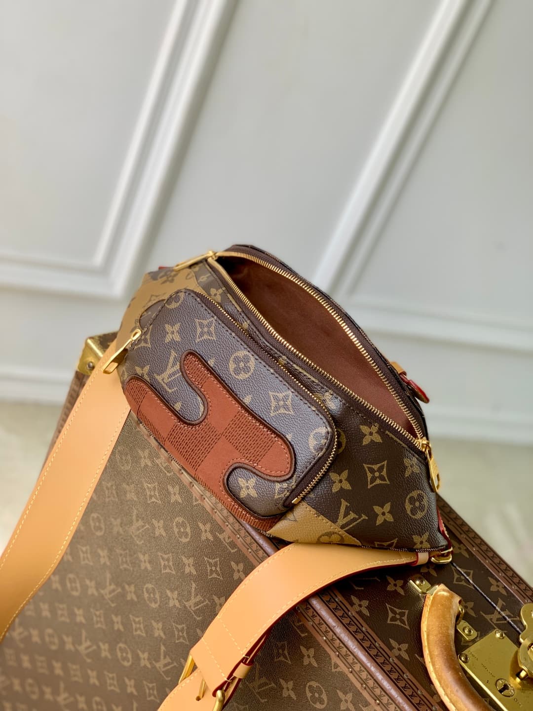 Louis Vuitton Rush Bumbag Monogram Landscape canvas LB22537 (6)