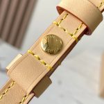 Louis Vuitton TM Wallet On Chain Ivy Monogram cherry canvas LB22089 (4)