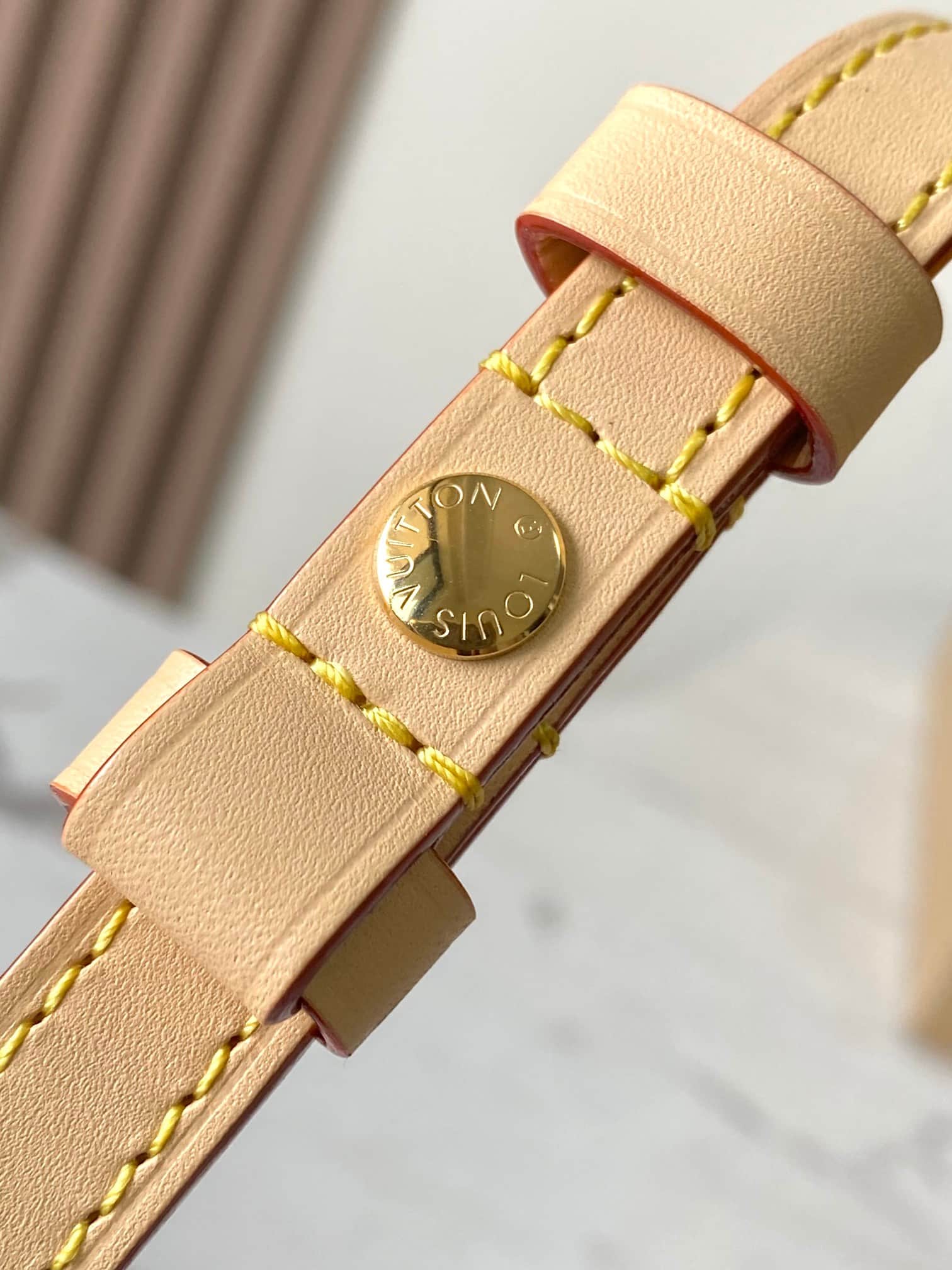 Louis Vuitton TM Wallet On Chain Ivy Monogram cherry canvas LB22089 (4)