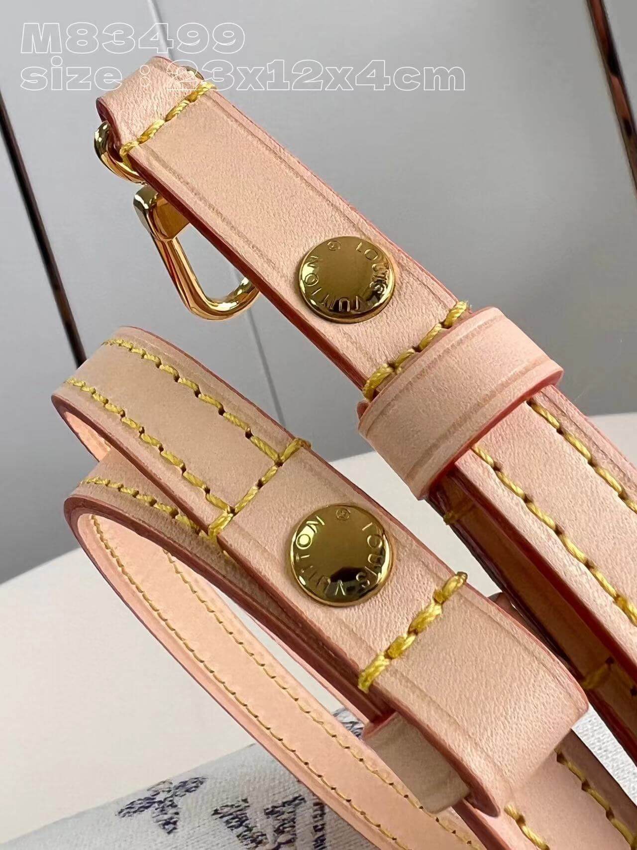 Louis Vuitton WALLET ON CHAIN IVY Monogram LB6568 (2)