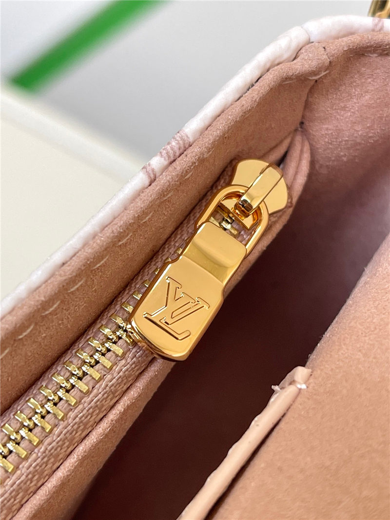 Louis Vuitton WALLET ON CHAIN IVY Monogram canvas LB10359 (3)