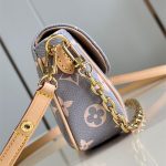 Louis Vuitton WALLET ON CHAIN IVY Monogram canvas Parisian LB14788 (4)