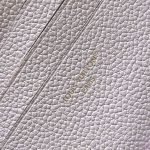 Louis Vuitton Wallet On Chain Ivy Embossed leather LB21698 (6)