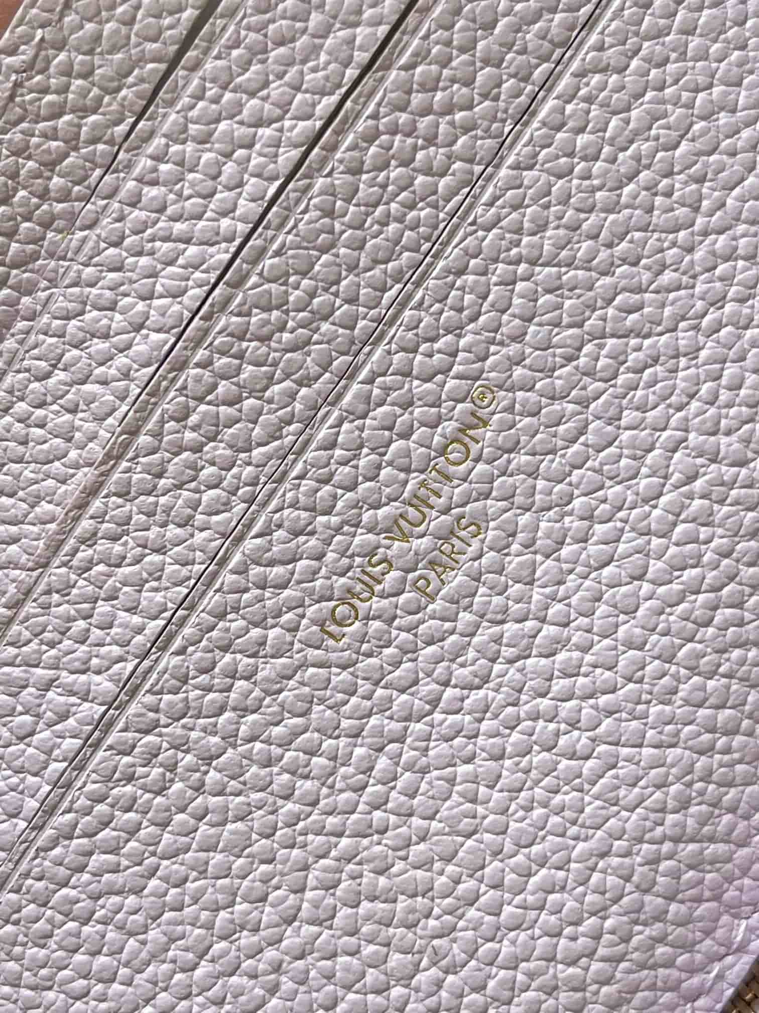 Louis Vuitton Wallet On Chain Ivy Embossed leather LB21698 (6)