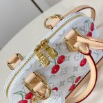 Louis Vuitton x Murakami Alma BB Monogram cherry canvas LB16520 (6)