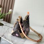 Louis Vuitton x Murakami Boulogne PM Monogram canvas LB16294 (2)