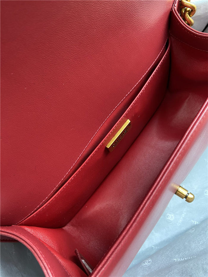 BOY Chanel Python LB9819 (6)