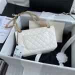 Chanel 2.55 HANDBAG Aged Calfskin LB4090 (4)
