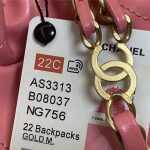 Chanel 22 BACKPACK Shiny Calfskin LB10352 (3)