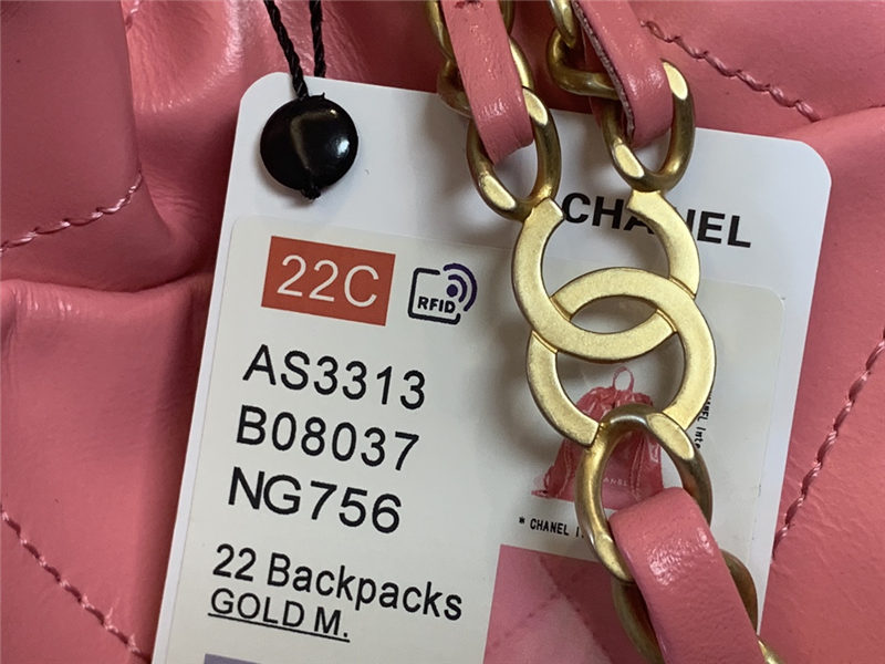 Chanel 22 BACKPACK Shiny Calfskin LB10352 (3)