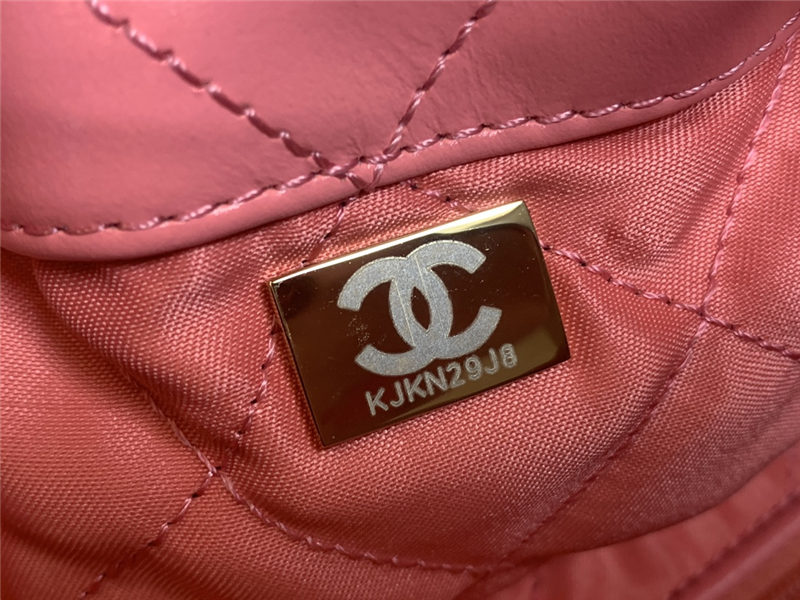 Chanel 22 BACKPACK Shiny Calfskin LB10352 (5)