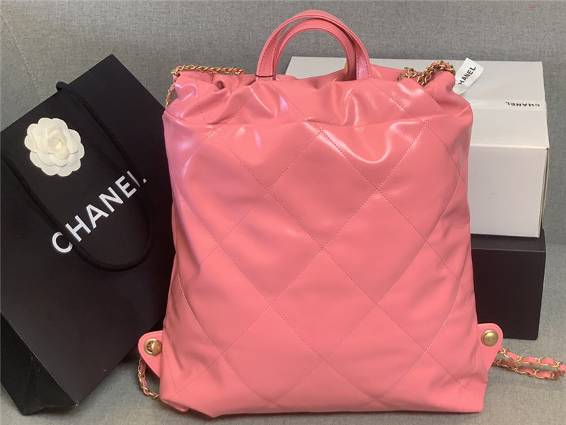 Chanel 22 BACKPACK Shiny Calfskin LB10352 (6)