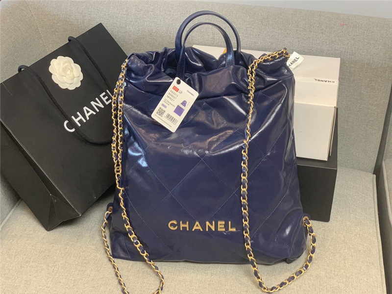 Chanel 22 BACKPACK Shiny Calfskin LB10353 (2)