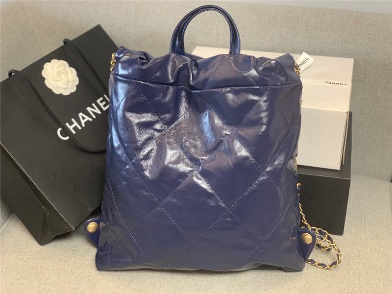 Chanel 22 BACKPACK Shiny Calfskin LB10353 (3)
