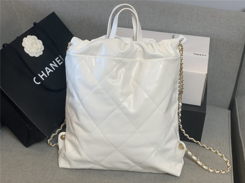 Chanel 22 BACKPACK Shiny Calfskin LB10354 (2)