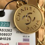 Chanel 22 LARGE HANDBAG Metallic Calfskin LB11227 (3)