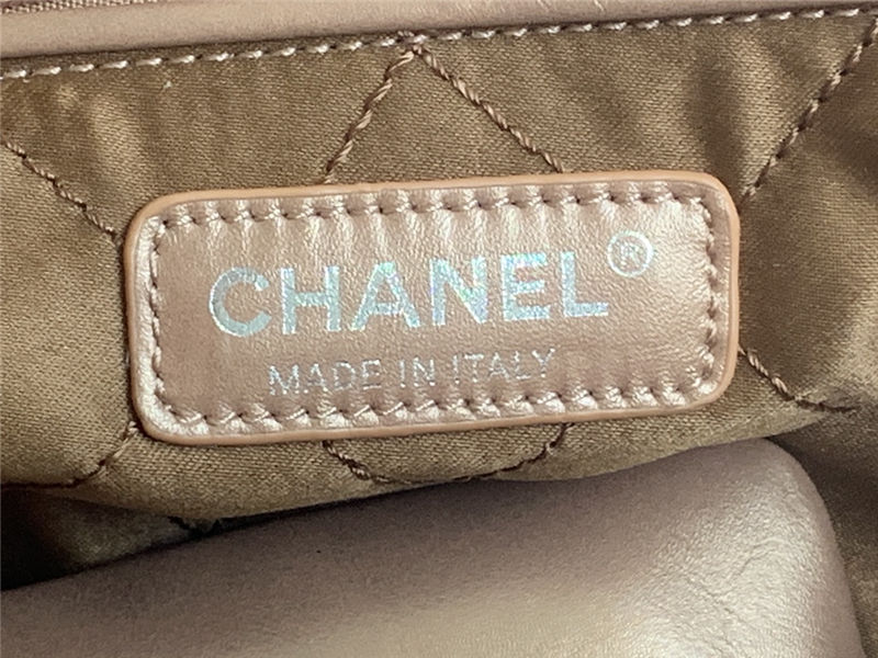 Chanel 22 LARGE HANDBAG Metallic Calfskin LB11607 (3)