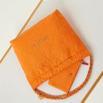 Chanel 22 MEDIUM HANDBAG Canvas LB14535 (4)